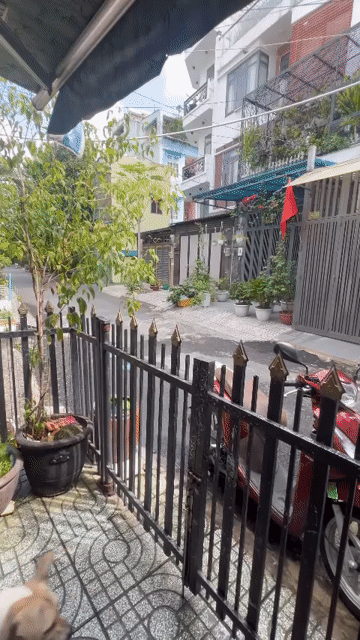 Cho thuê Nhà ở Quận Gò Vấp Tp Hồ Chí Minh diện tích 48 m² giá 9 triệu/tháng