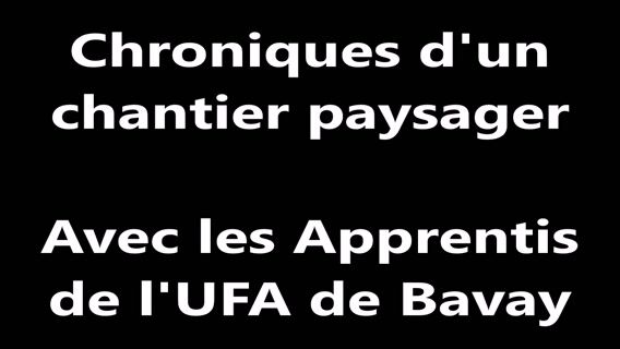 Chroniques d'un chantier d'aménagement paysager