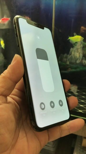 Apple iPhone 11 Pro 64GB Xám. Mua bán Điện thoại tại Quận 10 Tp Hồ Chí Minh được đăng bởi Thịnh hình 1