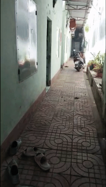 Cho thuê Phòng trọ Huyện Củ Chi Tp Hồ Chí Minh diện tích 15 m² giá 1,1 triệu/tháng