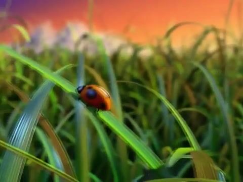 Honey 3D Advertisement