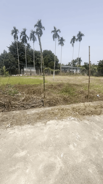Mua bán Đất Huyện Sơn Tịnh Quảng Ngãi diện tích 222.8 m² giá 1,3 tỷ