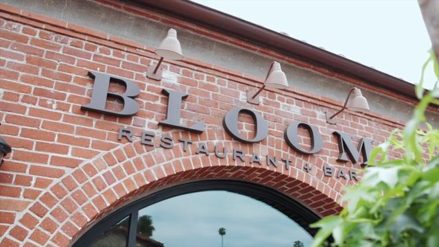 Bloom Restaurant + Bar photo 5