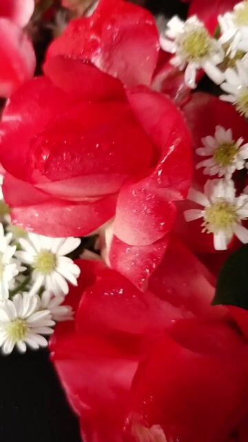 Mitsubishi Destinator 2025 Xanh. Mua bán Ô tô tại Quận Ninh Kiều Cần Thơ được đăng bởi Phương Kiết Xương hình 1