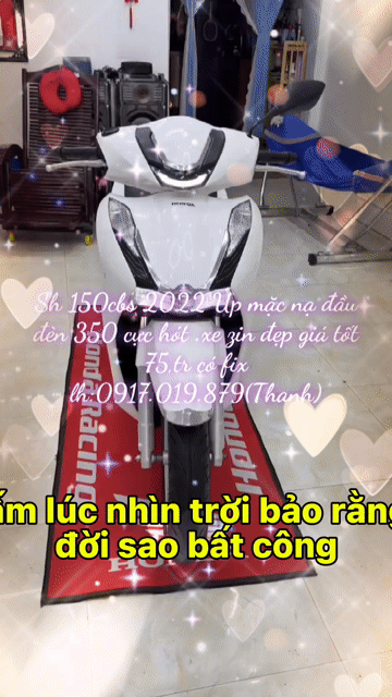 Honda SH 150 CBS 2022 Trắng. Mua bán Xe máy tại Thành phố Vũng Tàu Bà Rịa - Vũng Tàu được đăng bởi XE MÁY BẢO THANH  TPVŨNG TÀU hình 1