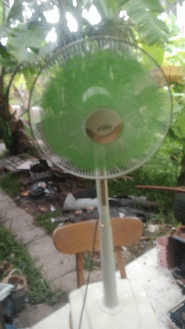 Quạt đứng Xanh lá, Trắng đã sử dụng. Mua bán Quạt tại Huyện Châu Thành Bến Tre được đăng bởi Nguyễn Hoàng Thái Tâm  hình 1