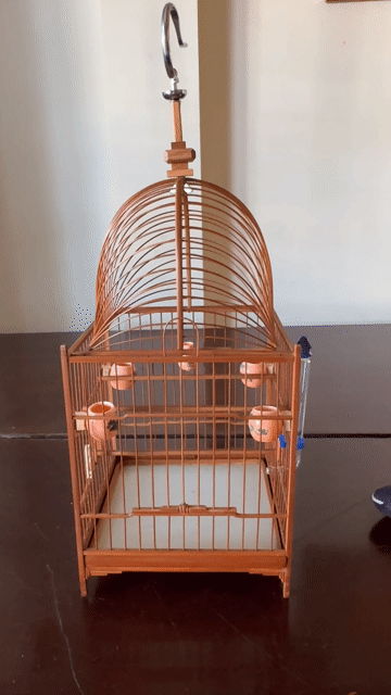 chim lồng khoen mái vòm tre tàu. Mua bán Chim tại Thành phố Thủ Đức Tp Hồ Chí Minh được đăng bởi Lâm hình 1