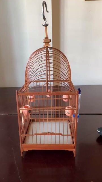 chim lồng khoen mái vòm tre tàu. Mua bán Chim tại Thành phố Thủ Đức Tp Hồ Chí Minh được đăng bởi Lâm hình 1