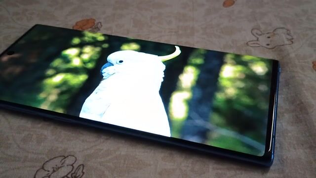 Samsung Note 10 Plus 256GB Xanh. Mua bán Điện thoại tại Thành phố Thủ Đức Tp Hồ Chí Minh được đăng bởi MD hình 1