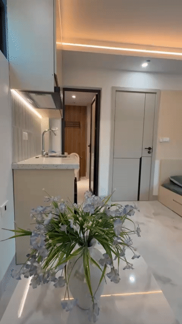Cho thuê Căn hộ Chung cư Quận Hoàng Mai Hà Nội diện tích 25 m² giá 4,9 triệu/tháng hình 2