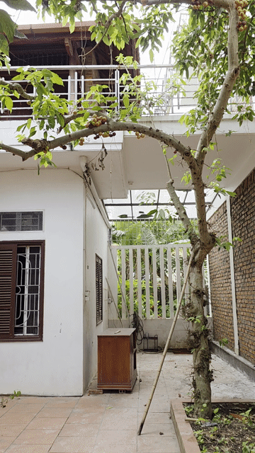 Mua bán Nhà ở Thành phố Thanh Hóa Thanh Hóa diện tích 250 m² giá 11 tỷ