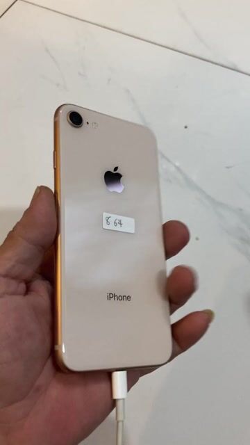 iPhone 8 64GB Vàng . zin chưa bung. Mua bán Điện thoại tại Quận 10 Tp Hồ Chí Minh được đăng bởi Thịnh hình 1