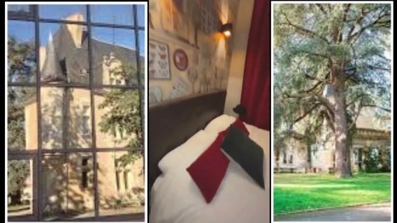 Ma formation en CAP en Hébergement Café Brasserie