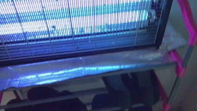 ĐÈN DIỆT MUỖI ĐẠI SINH D215I. Mua bán Đèn tại Quận Gò Vấp Tp Hồ Chí Minh được đăng bởi Mr Khải hình 1