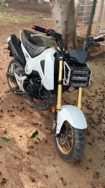 Honda MSX 125 2015 nhập thái, màu trắng, zin đẹp. Mua bán Xe máy tại Thành phố Gia Nghĩa Đắk Nông được đăng bởi ĐÀO HUỲNH ĐỨC hình 1