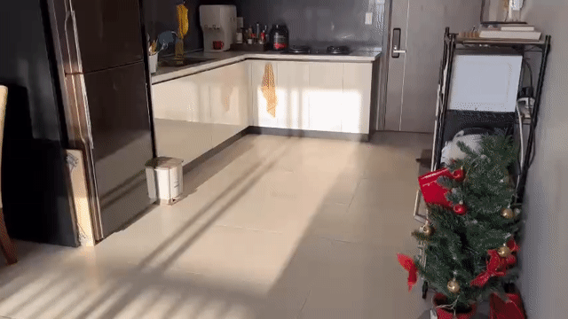 Cho thuê Căn hộ Chung cư Lexington Residence Thành phố Thủ Đức Tp Hồ Chí Minh diện tích 73 m² giá 15 triệu/tháng