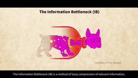 The Information Bottleneck’s Ordinary Differential Equation
