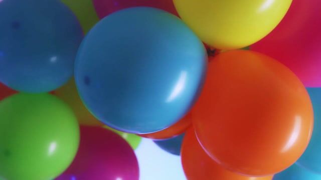 Model - MeyEvanson bigass