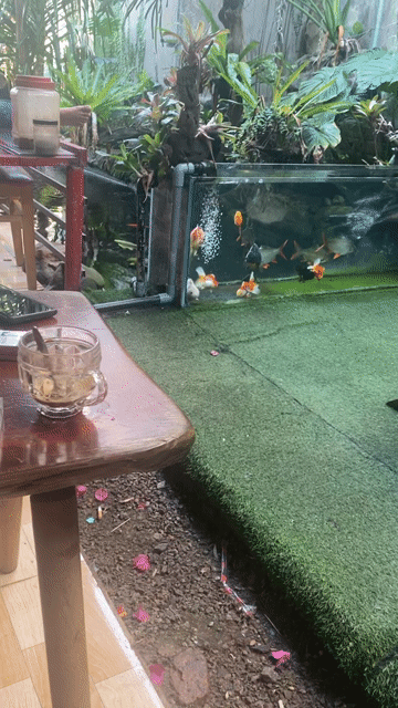 Hyundai Accent 2025 1.5 MT - 5000 km. Mua bán Ô tô tại Huyện Ea Kar Đắk Lắk được đăng bởi Thien Ngô hình 1