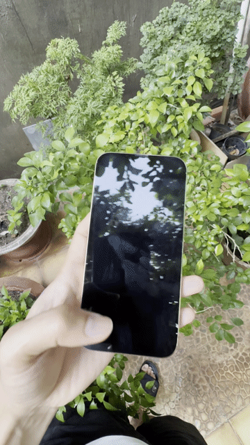 Apple iPhone 13 Pro Max 128GB Vàng. Mua bán Điện thoại tại Thành phố Vũng Tàu Bà Rịa - Vũng Tàu được đăng bởi Khôi   Khôi hình 1
