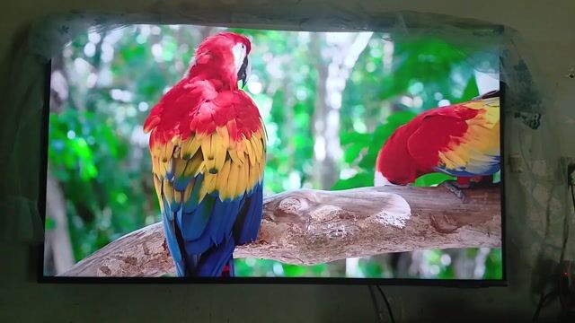 Tivi Samsung UA43CU8000K Đã sử dụng. Mua bán Tivi, Âm thanh tại Huyện Tân Hồng Đồng Tháp được đăng bởi Khôi trần hình 1