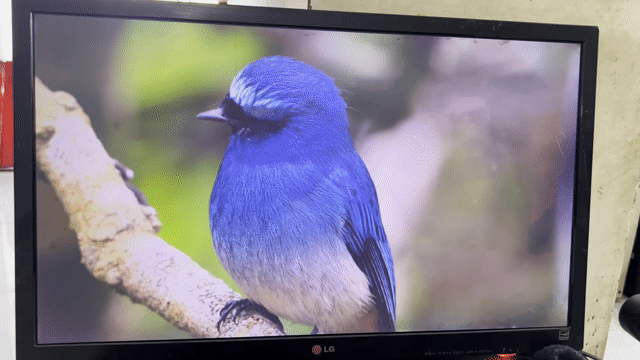 Màn hình LG 27EA33 IPS LED 27 inch. Mua bán Phụ kiện (Màn hình, Chuột...) tại Huyện Củ Chi Tp Hồ Chí Minh được đăng bởi Trần Tuấn Anh  hình 1