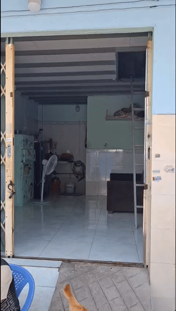 Cho thuê Phòng trọ Quận Bình Tân Tp Hồ Chí Minh diện tích 18 m² giá 2,5 triệu/tháng