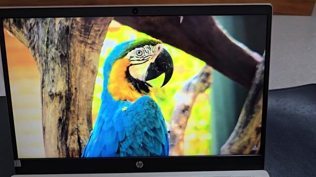 HP Pavilion 15-cs3063TX i7-1065G7. Mua bán Laptop tại Thành phố Vũng Tàu Bà Rịa - Vũng Tàu được đăng bởi Hien Vu hình 1