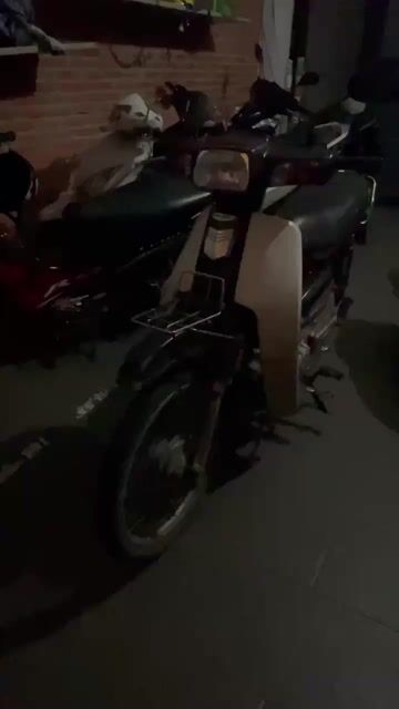 Xe máy Honda Dream II màu Trắng Đen. Mua bán Xe máy tại Quận Gò Vấp Tp Hồ Chí Minh được đăng bởi bùi tiến minh  hình 1