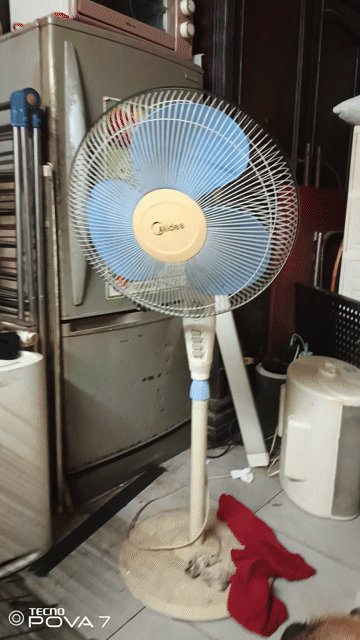 Quạt cây Midea FS40-8E Trắng ngà. Mua bán Quạt tại Quận Đống Đa Hà Nội được đăng bởi Long hình 1