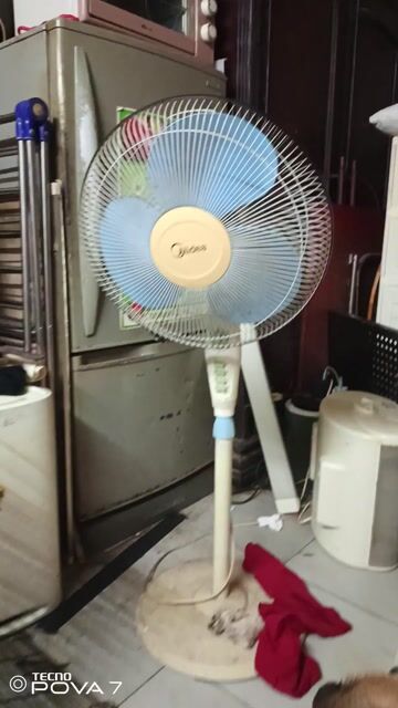 Quạt cây Midea FS40-8E Trắng ngà. Mua bán Quạt tại Quận Đống Đa Hà Nội được đăng bởi Long hình 1