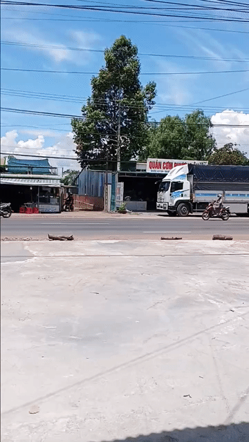 Cho thuê Văn phòng, Mặt bằng kinh doanh Huyện Xuân Lộc Đồng Nai diện tích 200 m² giá 8 triệu/tháng