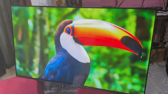 Tivi Xiaomi A 4K L55M8-P2SEA 99%. Mua bán Tivi, Âm thanh tại Quận Tân Bình Tp Hồ Chí Minh được đăng bởi hồ hoàng triều hình 1