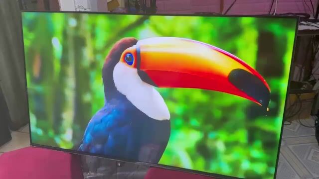Tivi Xiaomi A 4K L55M8-P2SEA 99%. Mua bán Tivi, Âm thanh tại Quận Tân Bình Tp Hồ Chí Minh được đăng bởi hồ hoàng triều hình 1