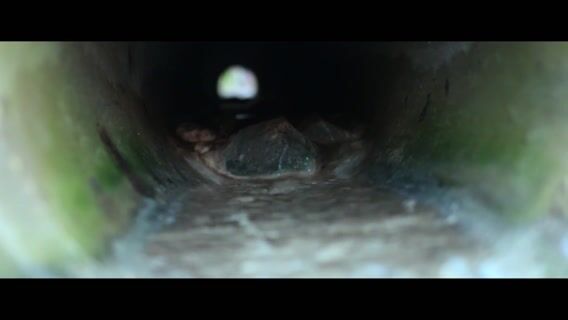 Métier de Technicien-Forestier