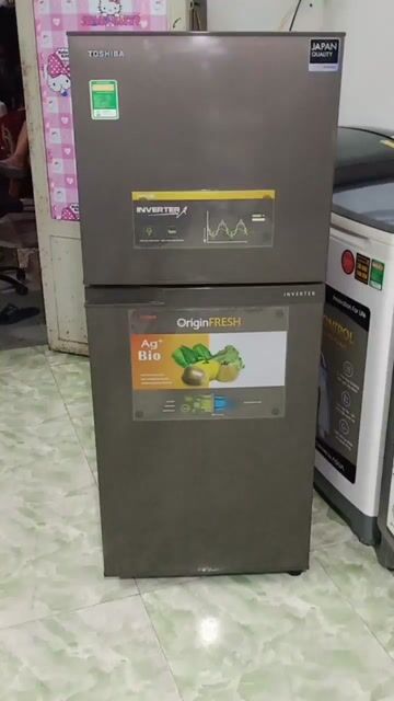Tủ lạnh Toshiba 194 lít INVERTER tiết kiệm điện . Mua bán Tủ lạnh tại Quận Bình Thạnh Tp Hồ Chí Minh được đăng bởi LÊ DƯƠNG 87 hình 1
