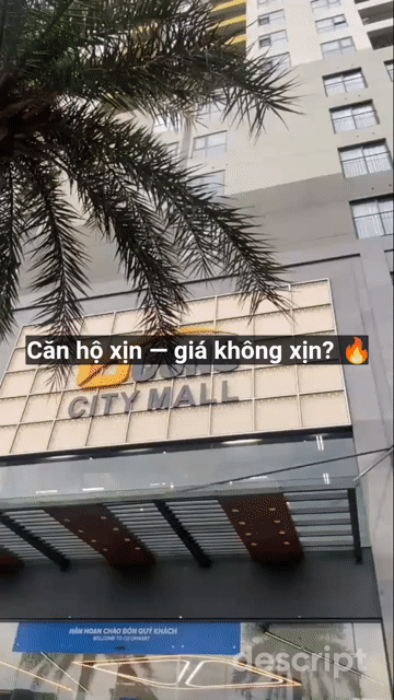 Cho thuê Căn hộ Chung cư Thành phố Thủ Đức Tp Hồ Chí Minh diện tích 53 m² giá 5,5 triệu/tháng