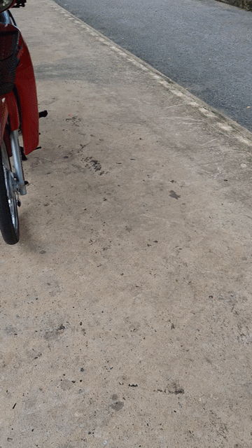 Honda Wave 50cc Đỏ. Mua bán Xe máy tại Huyện Nhà Bè Tp Hồ Chí Minh được đăng bởi tuân anh  hình 1