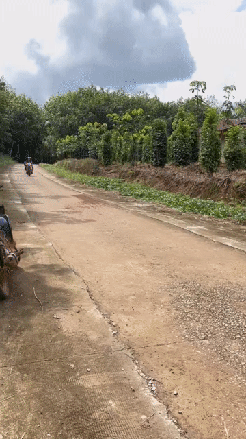 Mua bán Đất Huyện Đồng Phú Bình Phước diện tích 1091.8 m² giá 680 triệu