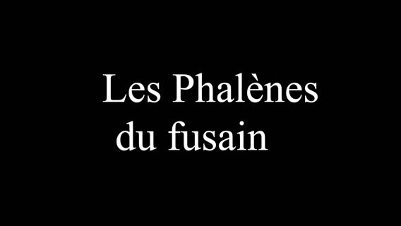 ILLUSTRATEUR JEUNESSE