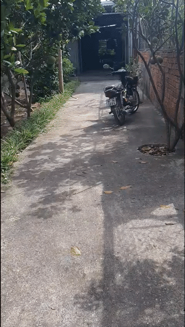 Cho thuê Văn phòng, Mặt bằng kinh doanh Huyện Hóc Môn Tp Hồ Chí Minh diện tích 320 m² giá 6 triệu/tháng