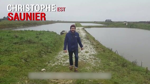 Saunier récoltant