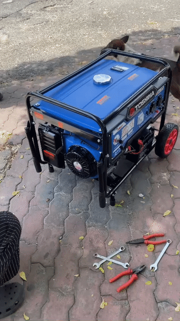 Máy phát điện Toshima 5,5kw đề nổ. Mua bán Đồ chuyên dụng, Giống nuôi trồng tại Thị xã Tân Uyên Bình Dương được đăng bởi Máy Móc Dân Dụng  hình 1