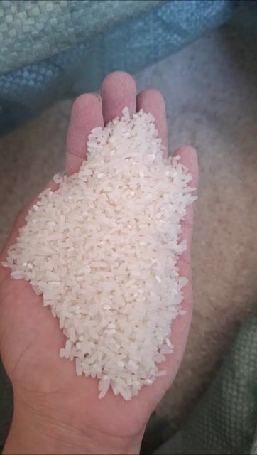 Gạo quê St25 dẻo ngon 10kg. Mua bán Đồ ăn, thực phẩm và các loại khác tại Quận Dương Kinh Hải Phòng được đăng bởi Oanh gạo quê xát mộc hình 1