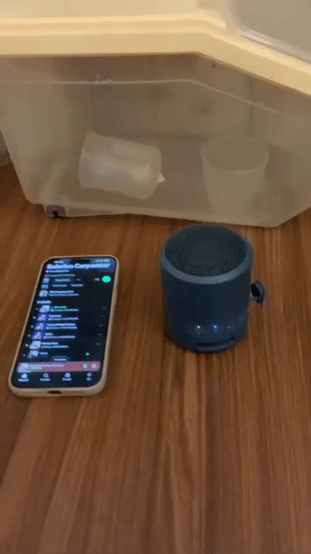 Loa Bluetooth Sony XB13 Xanh dương. Mua bán Tivi, Âm thanh tại Quận Hoàng Mai Hà Nội được đăng bởi Huy Mắm hình 1