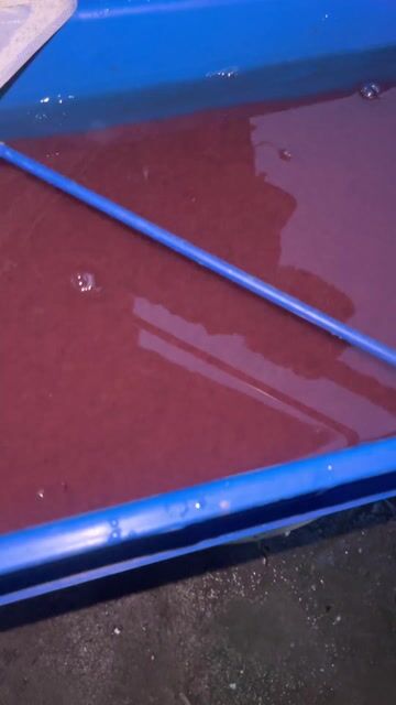 Trùn chỉ tươi sống Kiên Giang, cần thơ. Mua bán Phụ kiện, Thức ăn, Dịch vụ tại Huyện Cờ Đỏ Cần Thơ được đăng bởi MeCaVang VN hình 1