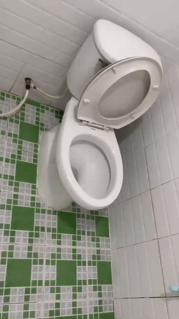 Cho thuê Phòng trọ Thành phố Thủ Đức Tp Hồ Chí Minh diện tích 20 m² giá 2,5 triệu/tháng