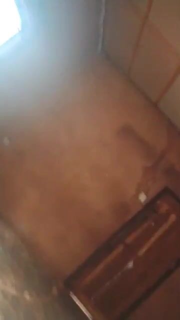 sharp single room