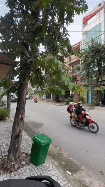 Cho thuê Văn phòng, Mặt bằng kinh doanh Quận 12 Tp Hồ Chí Minh diện tích 60 m² giá 5 triệu/tháng