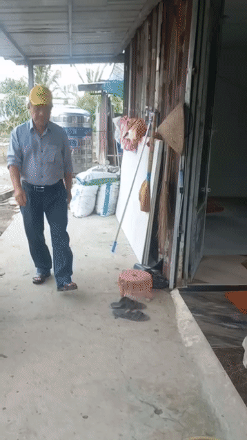 Cho thuê Nhà ở Huyện Bến Cầu Tây Ninh diện tích 1000 m² giá 3 triệu/tháng